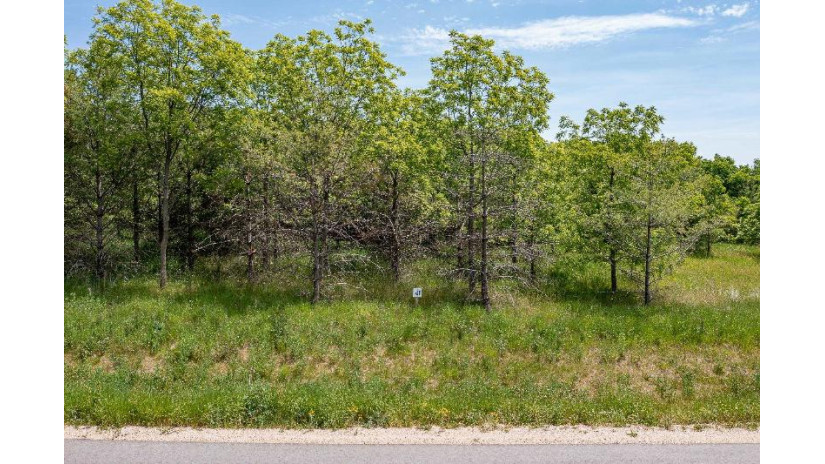 658 Wildwind Drive Lot 41 Hortonville, WI 54944 by Expert Real Estate Partners, Llc - PREF: 920-460-0869 $79,900