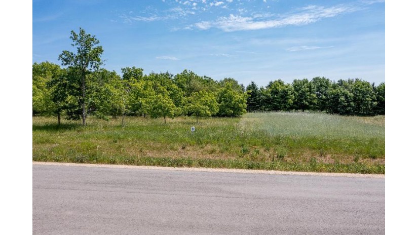 660 Wildwind Drive Lot 42 Hortonville, WI 54944 by Expert Real Estate Partners, Llc - PREF: 920-460-0869 $79,900