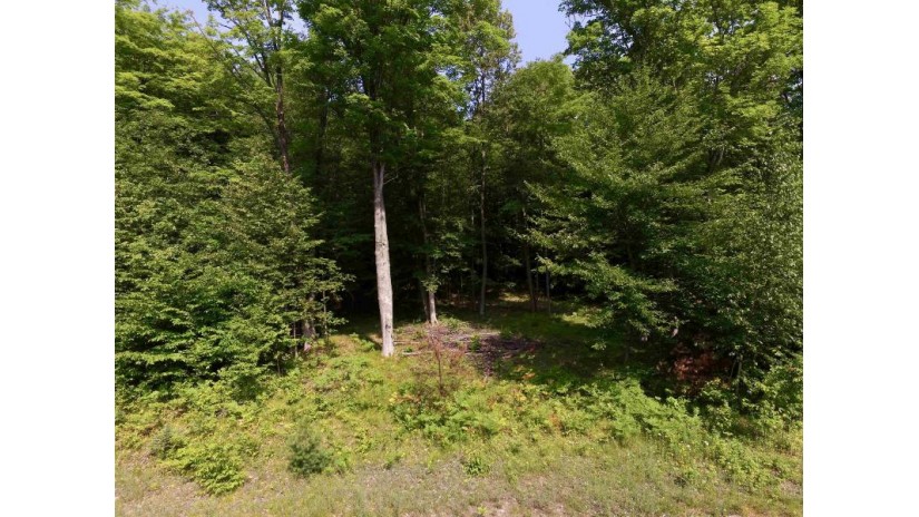 Carnoustie Drive Lot 20 Lakewood, WI 54138 by Coldwell Banker Real Estate Group $22,900