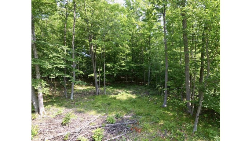 Carnoustie Drive Lot 20 Lakewood, WI 54138 by Coldwell Banker Real Estate Group $22,900