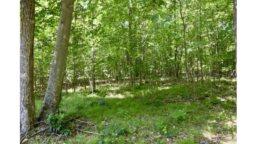 Carnoustie Drive Lot 20 Lakewood, WI 54138 by Coldwell Banker Real Estate Group $22,900