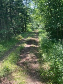 Right Of Way Road, Lake, WI 54114