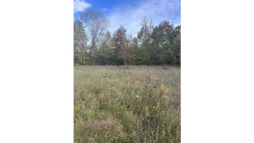 County Rd B Pound, WI 54112 by Bigwoods Realty, Inc. $24,000