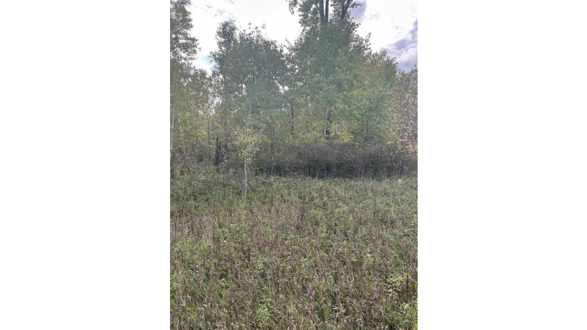 County Rd B Pound, WI 54112 by Bigwoods Realty, Inc. $24,000