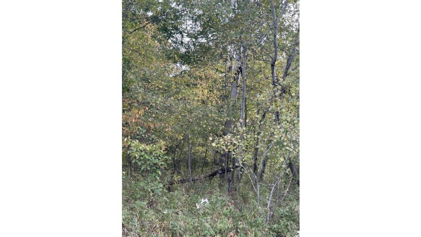 County Rd B Pound, WI 54112 by Bigwoods Realty, Inc. $24,000