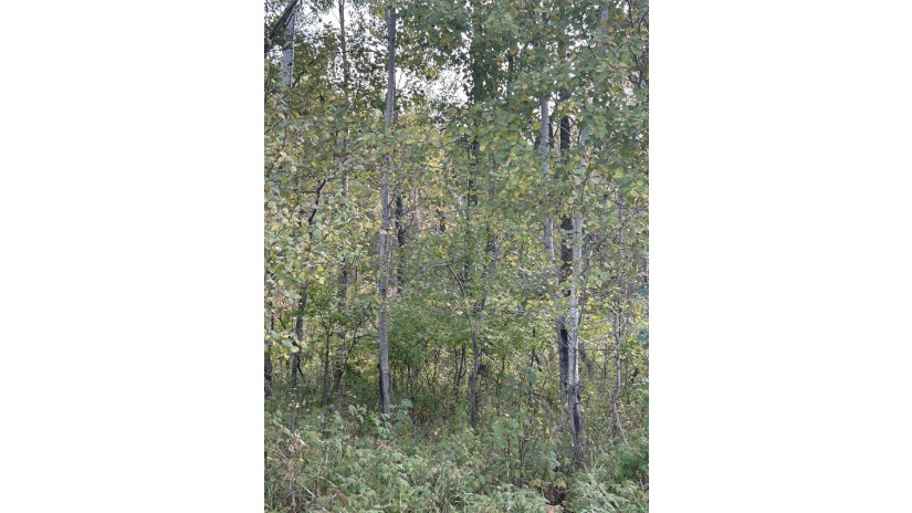 County Rd B Pound, WI 54112 by Bigwoods Realty, Inc. $24,000