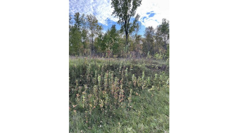 County Rd B Pound, WI 54112 by Bigwoods Realty, Inc. $24,000