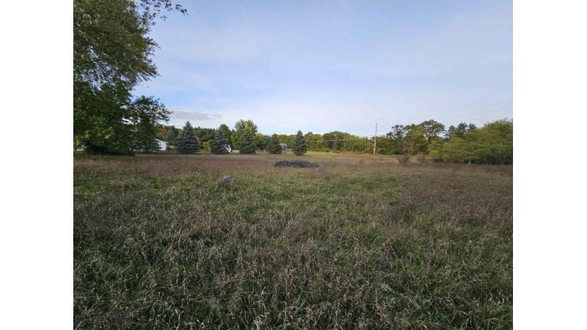 Ruffalo Drive Lot 3/4 Plainfield, WI 54966 by First Weber, Inc. $27,500