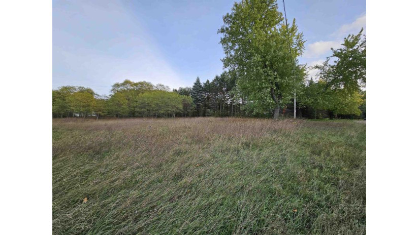 Ruffalo Drive Lot 3/4 Plainfield, WI 54966 by First Weber, Inc. $27,500