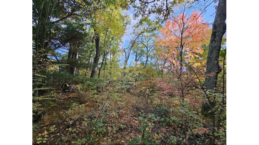 Marlwood Drive Lot 20 Deerfield, WI 54982 by First Weber, Inc. $29,900