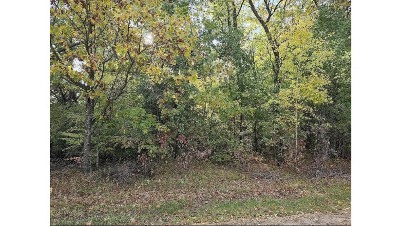 Marlwood Drive Lot 20 Deerfield, WI 54982 by First Weber, Inc. $29,900