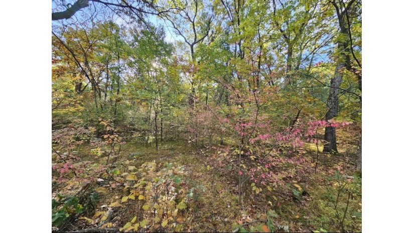 Marlwood Drive Lot 20 Deerfield, WI 54982 by First Weber, Inc. $29,900