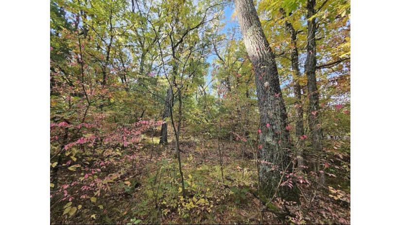 Marlwood Drive Lot 20 Deerfield, WI 54982 by First Weber, Inc. $29,900