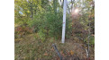 Marlwood Drive Lot 20 Deerfield, WI 54982 by First Weber, Inc. $29,900