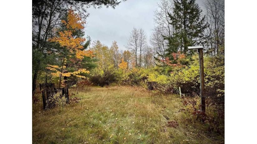 17227 Emma Lea Lane Lot 1 Lakewood, WI 54138 by Signature Realty, Inc. $59,900