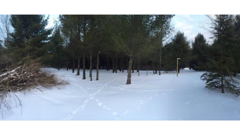 17227 Emma Lea Lane Lot 1 Lakewood, WI 54138 by Signature Realty, Inc. $59,900