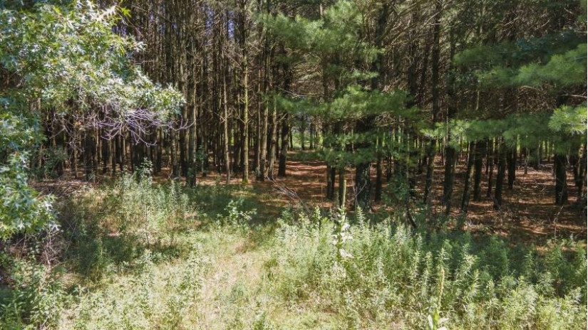 19th Court Lot 1 Neshkoro, WI 54960 by First Weber, Inc. $37,500