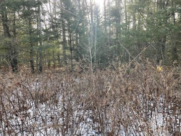 Rainbow Road Lot 2, Beecher, WI 54156