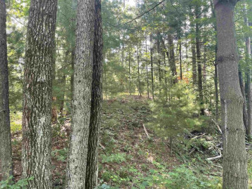 Evergreen Drive Lot 25, Deerfield, WI 54982