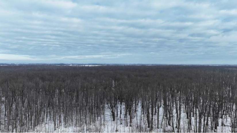 Black Ash Road Lot 4 Lincoln, WI 54201 by Exit Elite Realty - OFF-D: 715-701-0403 $299,900