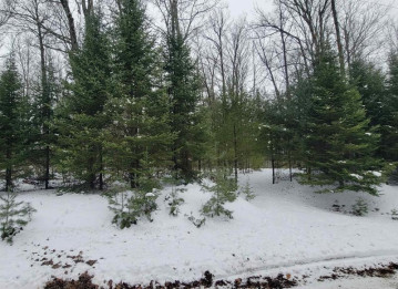 Miscauno Island Lane Lot 3, Holmes, MI 49821