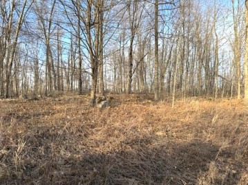 Thorn Apple Drive Lot 1, Wittenberg, WI 54499