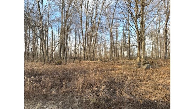 Thorn Apple Drive Lot 1 Wittenberg, WI 54499 by Shorewest Realtors $28,500