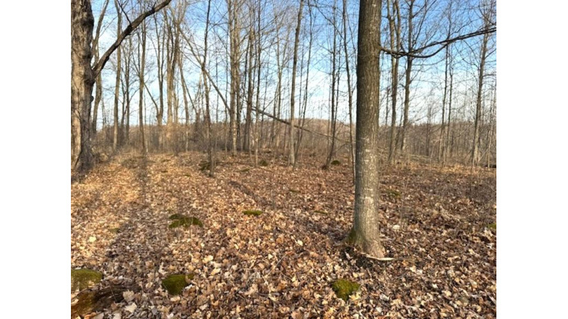 Thorn Apple Drive Lot 1 Wittenberg, WI 54499 by Shorewest Realtors $28,500