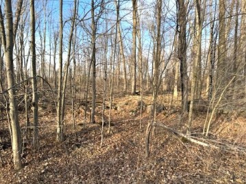 Thorn Apple Drive Lot 2, Wittenberg, WI 54499