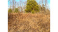 Thorn Apple Drive Lot 6 Wittenberg, WI 54499 by Shorewest Realtors $29,900