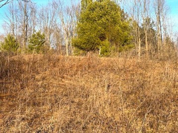 Thorn Apple Drive Lot 6, Wittenberg, WI 54499