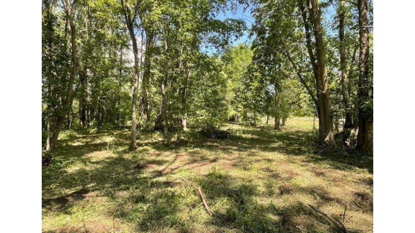 Bramschreiber Road Little Suamico, WI 54141 by Trimberger Realty, Llc - CELL: 920-639-2444 $49,900