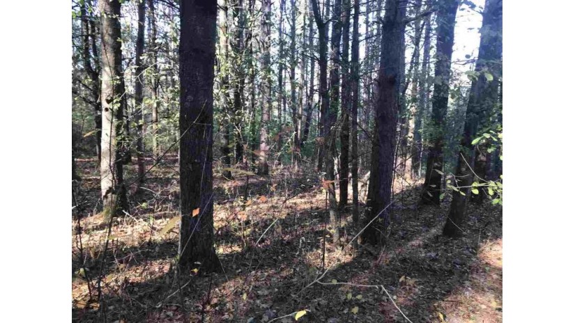 W6373 Lakeview Drive Lot 144 Marion, WI 54982 by Coldwell Banker Real Estate Group $70,000