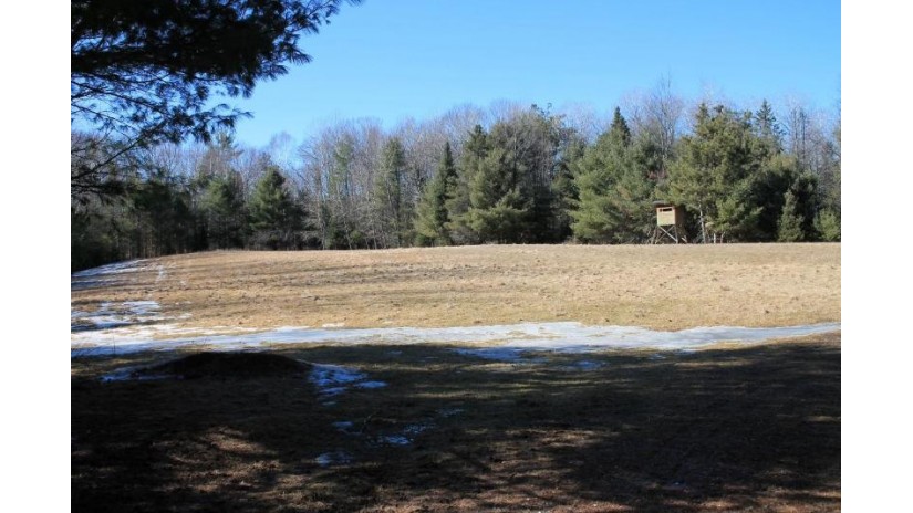 19731 Mountain Road Dunbar, WI 54119 by Whitetail Dreams Real Estate, Llc $3,900,000