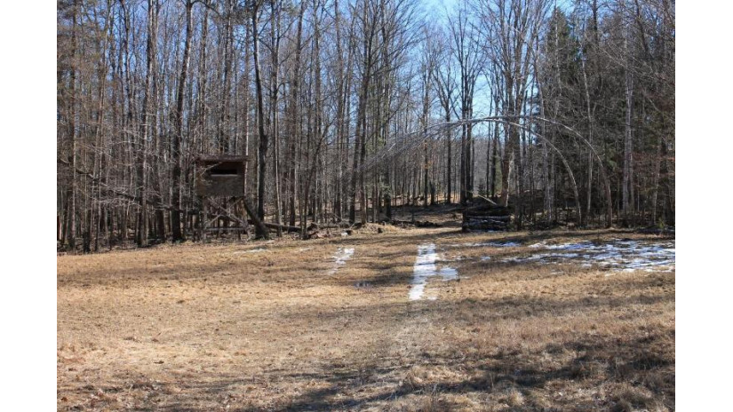 19731 Mountain Road Dunbar, WI 54119 by Whitetail Dreams Real Estate, Llc $3,900,000