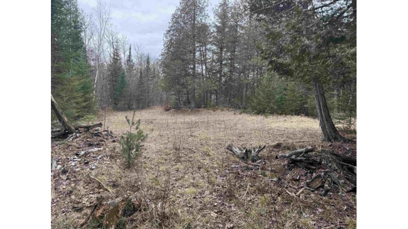 S Right Of Way Road Lake, WI 54159 by Century 21 Affiliated - CELL: 920-594-0197 $119,900