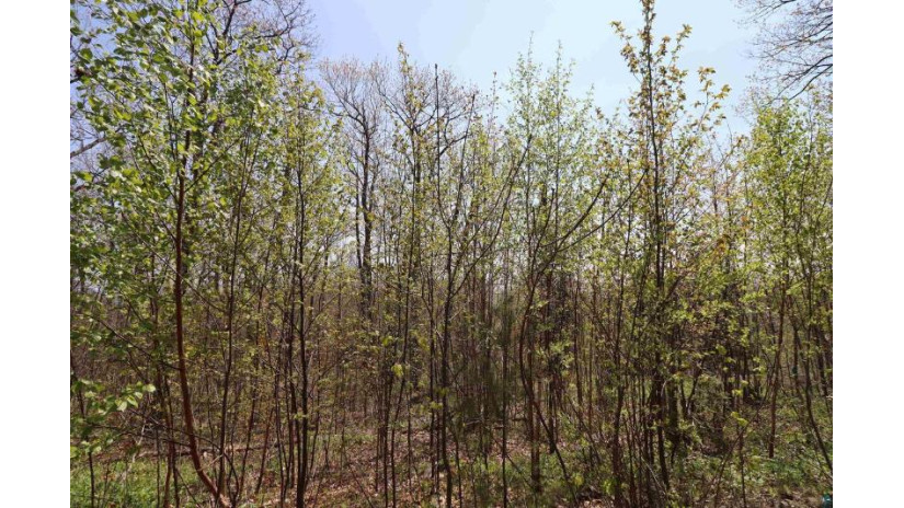 Lot 10 Apostle Highlands Blvd Bayfield, WI 54814 by Apostle Islands Realty $49,900