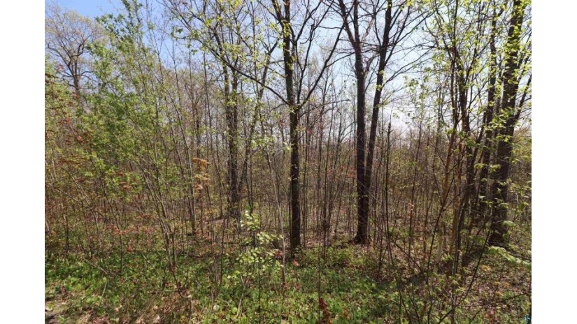 Lot 10 Apostle Highlands Blvd Bayfield, WI 54814 by Apostle Islands Realty $49,900