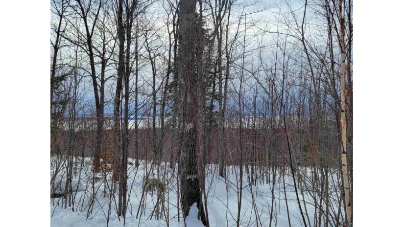 Lot 10 Apostle Highlands Blvd Bayfield, WI 54814 by Apostle Islands Realty $49,900