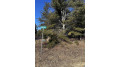 LOT 8 North Riverside Rd Cable, WI 54821 by Edmunds Company, Llp $23,500