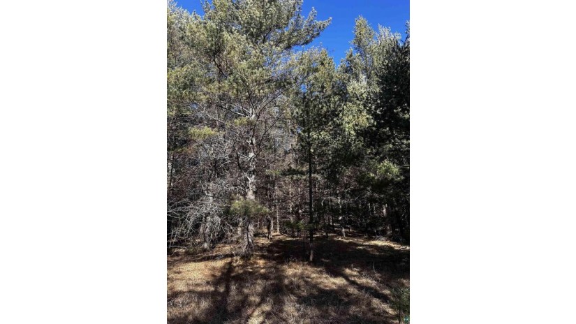 LOT 8 North Riverside Rd Cable, WI 54821 by Edmunds Company, Llp $23,500