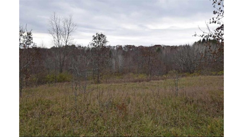 L312 Cross Trail Drive Woodland, WI 53941 by Re/Max Preferred - Julie@JulieSells.com $6,600