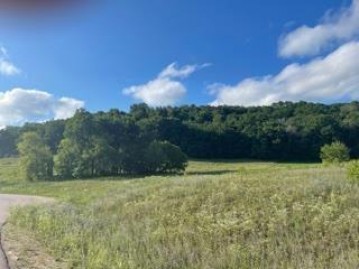 LOT 4 Pheasant Trail, Richland, WI 53581