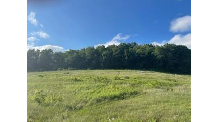 LOT 5 Pheasant Trail Richland, WI 53581 by Century 21 Complete Serv Realty $28,500