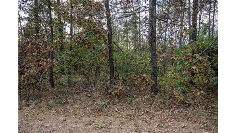 LOTS 237 & 242 Woodland Trail Germantown, WI 53950 by Castle Rock Realty Llc - Cell: 608-548-6900 $28,000