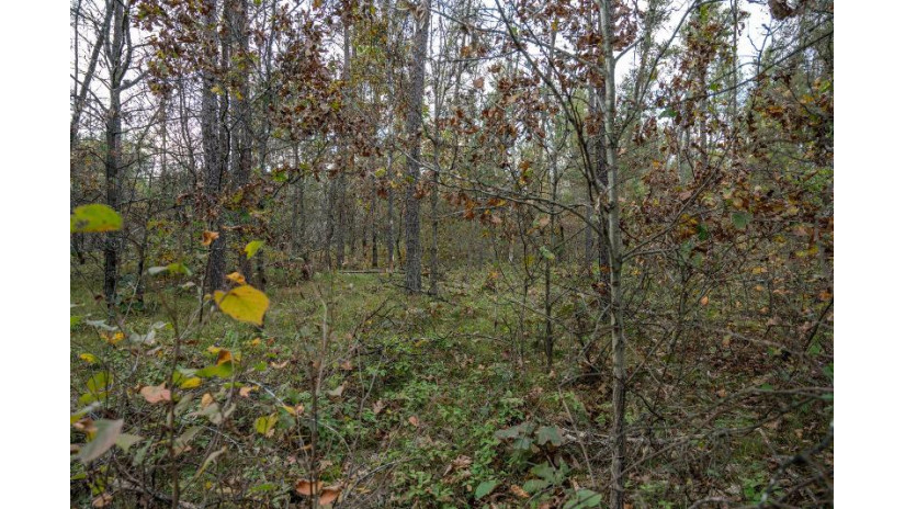 LOTS 237 & 242 Woodland Trail Germantown, WI 53950 by Castle Rock Realty Llc - Cell: 608-548-6900 $28,000