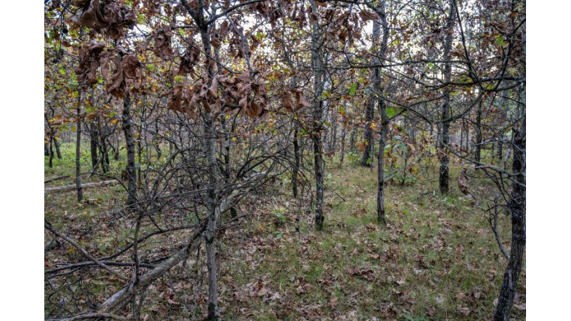 LOTS 237 & 242 Woodland Trail Germantown, WI 53950 by Castle Rock Realty Llc - Cell: 608-548-6900 $28,000