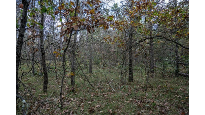 LOTS 237 & 242 Woodland Trail Germantown, WI 53950 by Castle Rock Realty Llc - Cell: 608-548-6900 $28,000