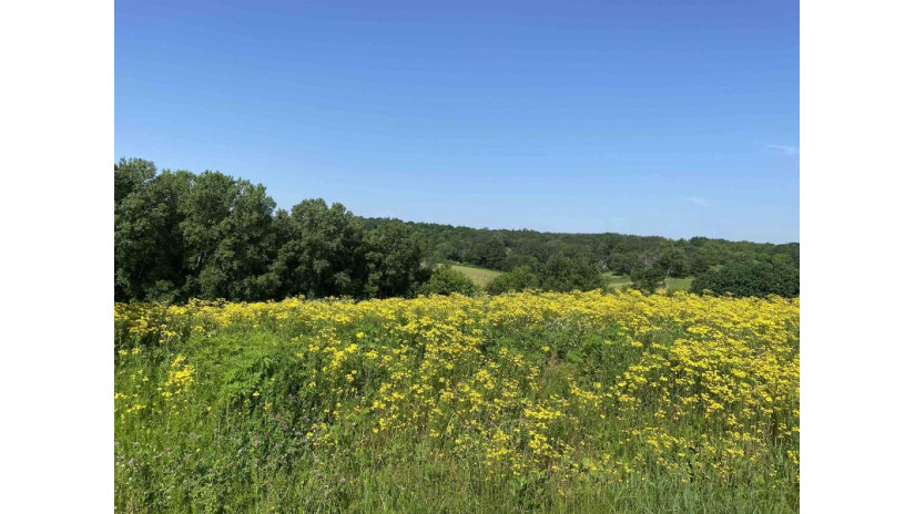 LOT 10 Hemmingford Avenue Adrian, WI 54660 by First Weber Inc - HomeInfo@firstweber.com $34,000