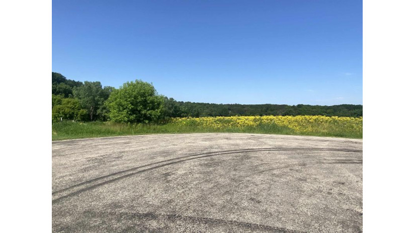 LOT 10 Hemmingford Avenue Adrian, WI 54660 by First Weber Inc - HomeInfo@firstweber.com $34,000